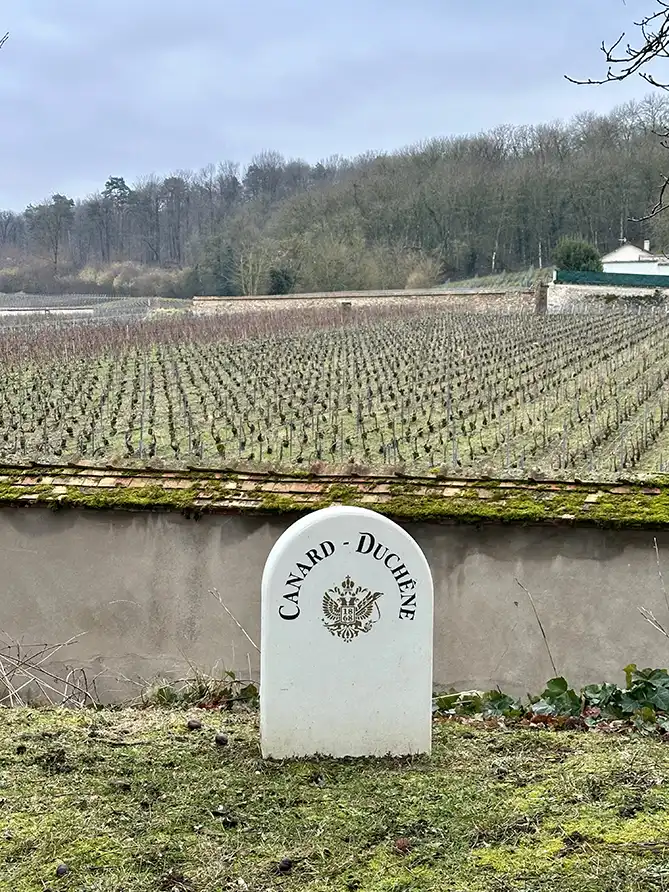 La voiture de Nettoyage champenois garée devant Canard Duchene